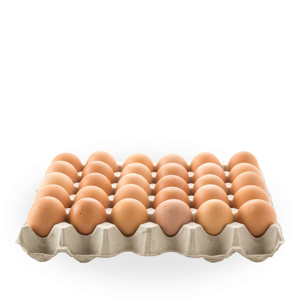 30-lu-gunluk-dogal-yumurta-bizim-sutcu-albera-ciftligi